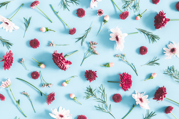 Flowers composition. Eucalyptus leaves and pink flowers on blue background. Flat lay, top view