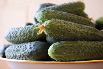 Fresh green cucumbers on a plate. Vegetarian food. Cucumber contains vitamins B, A.