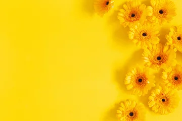 Foto op Plexiglas Flowers composition. Yellow gerbera flowers on yellow background. Summer concept. Flat lay, top view, copy space © Flaffy