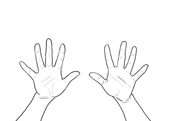 数字