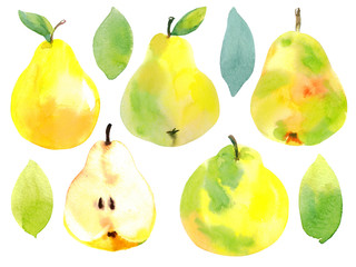 Set with isolated watercolor hand drawn pears and leaves