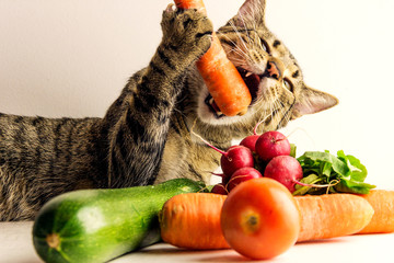 Cats and vegetables on table with white background