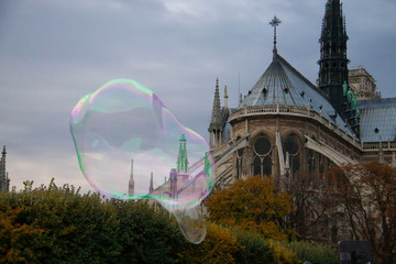 パリのノートルダム大聖堂