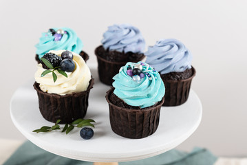 cupcakes with cream and blueberriesnt on white background. Close up