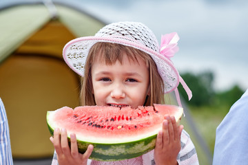 Portrait of little boy at picnic. Child eating watermelon in the meadow.