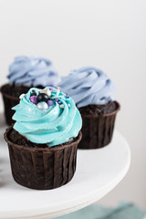 Homemade cupcakes with cream and blueberriesnt on white background. Close up