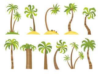 Obraz premium Vector set of simple palm trees. Flat cartoon palms on white background.
