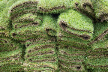 heap of natural grass turfs for garden installing