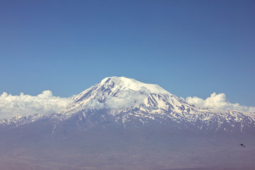 Fototapeta na wymiar Mount Ararat (Masis). Biblical Mount Peak
