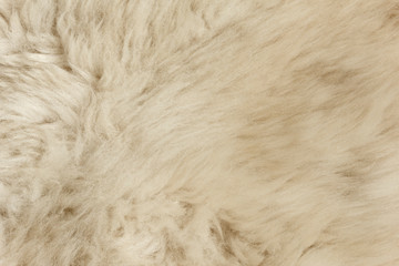 White shaggy natural sheep fur texture for background