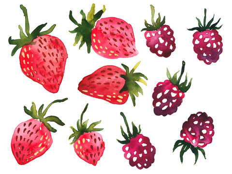 Hand painted watercolor clip art set of strawberries and raspberries