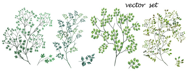 Vector. Decorative tree branches . Leaflets.