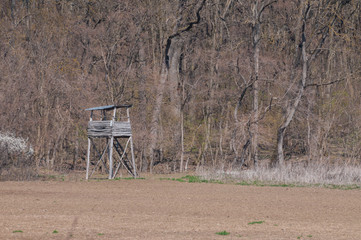 deer stand used by hunters surrounded by spring vegetation