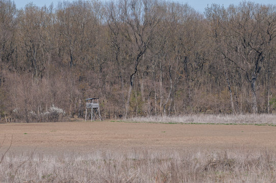 deer stand used by hunters near the forest