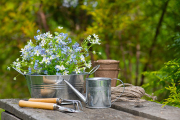Garden tools and bouquet of tender flowers on the table,