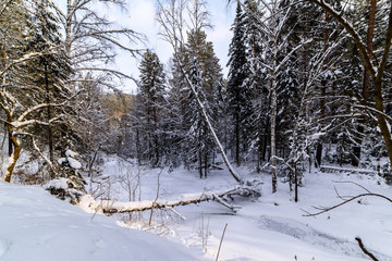 the bed of a frozen river in a snowy forest and a fallen tree instead of a bridge