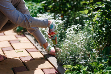 Photo of gardener removing weed from soil