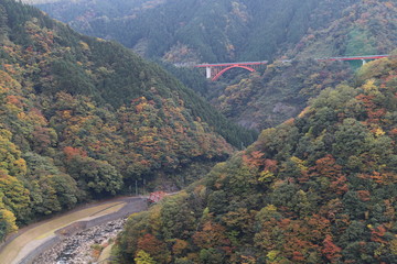 広島の紅葉