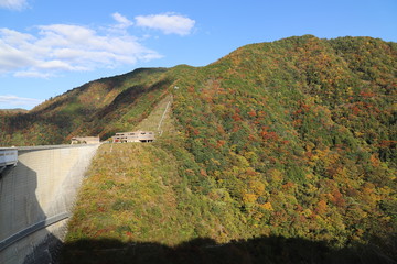 広島の紅葉
