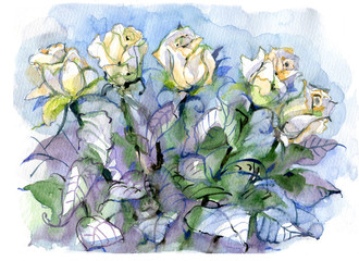 Bouquet of roses, watercolor painting - 271214650