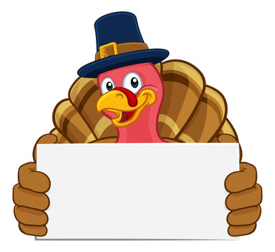Pilgrim Turkey Thanksgiving bird animal cartoon character wearing a pilgrims hat. Holding a white background sign.