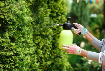 Woman gardener spraying plants in the home garden
