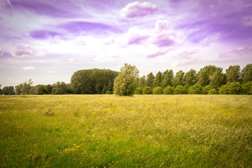 Mesmerizing purple sky