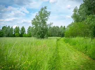 Natural pathway
