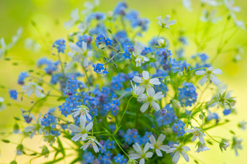 Bouquet of tender fresh flowers, background