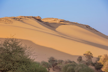 Fototapeta na wymiar Desert sand dunes in an evening sun near Jazirat Salujah close to Aswan