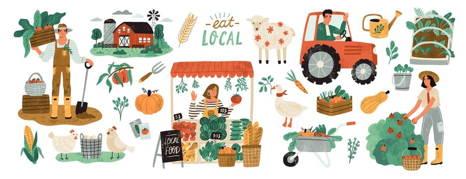 Local organic production set. Agricultural workers planting and gathering crops, working on tractor, farmer selling fruits and vegetables, farm animals, farmhouse. Flat cartoon vector illustration.