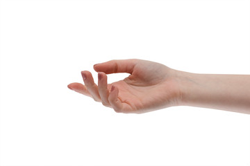 Female hand on a white background. Ask, give, receive.