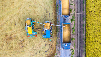 Aerial top view of Harvester machine and truck working in rice field, View from above
