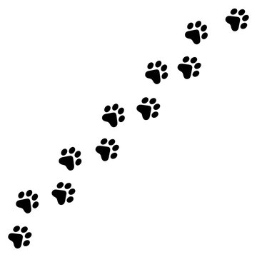 Vector high quality illustration of paw prints silhouette making a path on the ground - isolated on white background