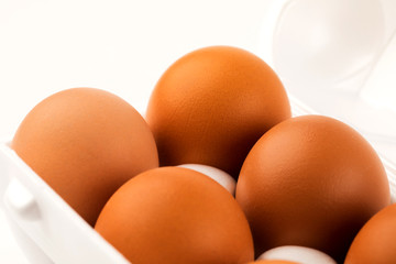 brown eggs in plastic package on white background.