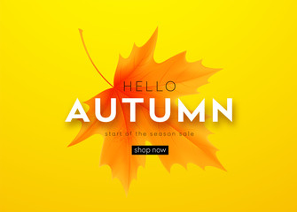 Autumn poster with lettering and yellow autumn maple leaves. Vector illustration