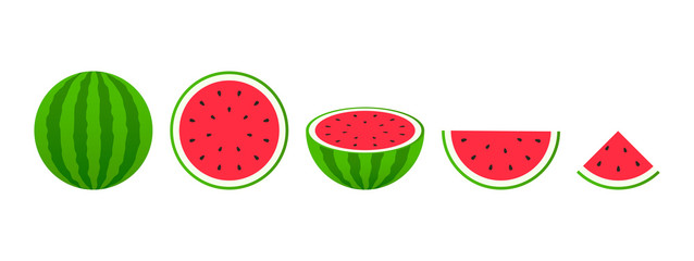 Set of fruits. Summer fruit collection. Fruits watermelon. Vegetarian and ecology food. Vector illustration. - obrazy, fototapety, plakaty