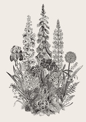 Lovely Garden. Flowerbed. Vintage illustration. Spring and summer garden flowers. Black and white - obrazy, fototapety, plakaty