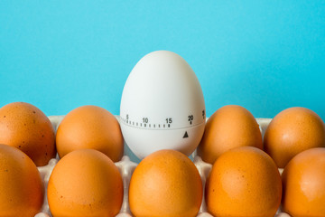 Chicken eggs in the package and white timer on a blue background. Shelf life. Time and conditions of storage of eggs. To boil eggs.