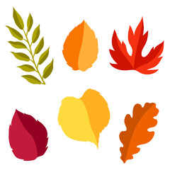 Fototapeta premium Set of stylized autumn foliage.