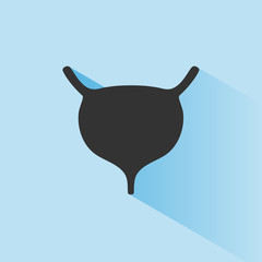 Human organ. Bladder icon with shade on blue background