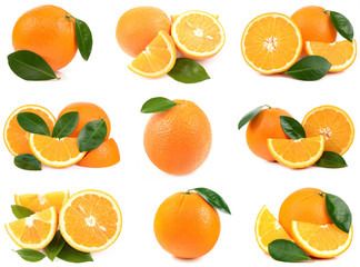 Oranges on white background