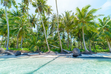 White sand beach with coconut palm trees turquoise blue water coral reef, tropical travel destination, desert beach no people - Banyak Islands, Sumatra, Indonesia