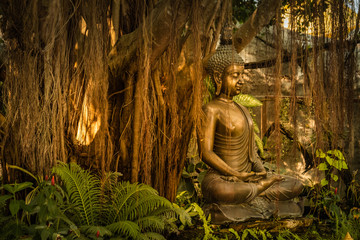 Buddha statue sitting by a Banyan tree in Chiang Rai, Thailand
