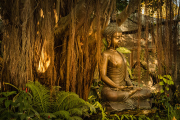 Buddha statue sitting by a Banyan tree in Chiang Rai, Thailand © Yann