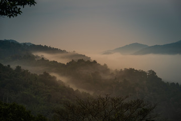 Mist over the forest at sunrise near Houayxai, Laos