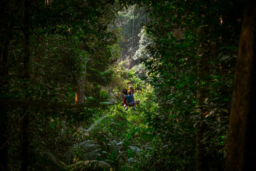 Boy and guide sliding down a zipline in the forest near Houayxai, Laos
