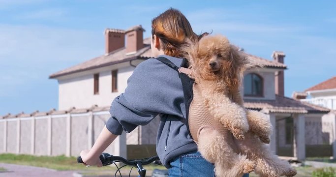 Dog really like to travel in a animal carrying backpack .