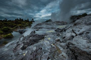 Te Puia geyser erupting in Rotorua, New Zealand North Island