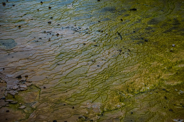 Water stream in Wai-O-Tapu, New Zealand North Island
